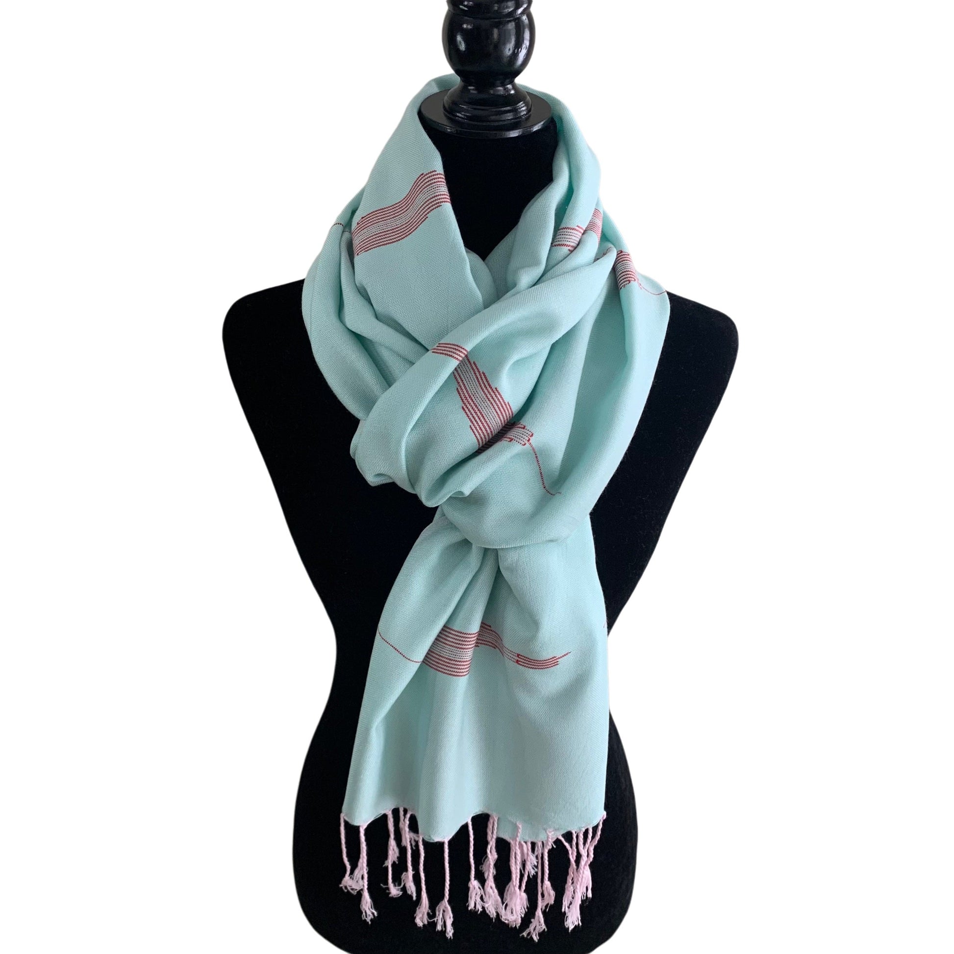 Handwoven Bamboo Viscose Scarf - Feathers Sky Blue & Red